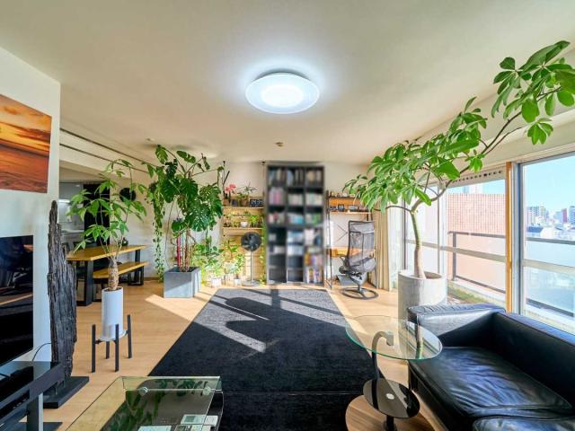 LDK（撮影年月：2025年11月）