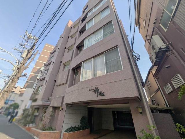 外観(撮影年月：2026年03月)