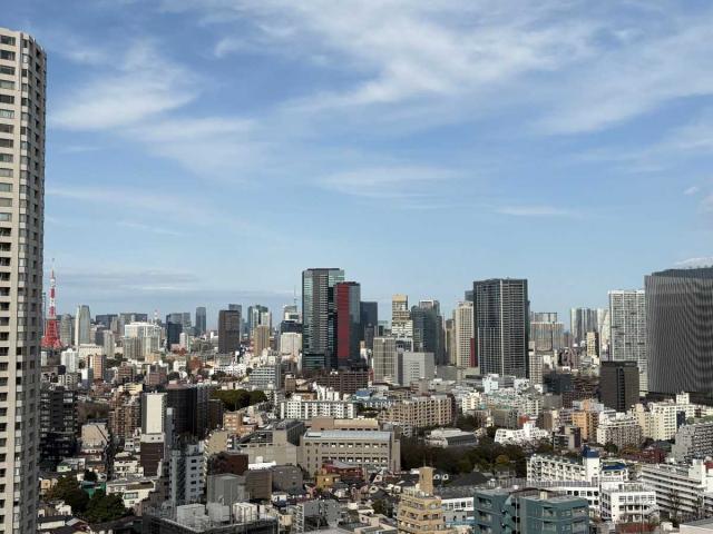 眺望：・ズームなし(東京タワー・東京スカイツリー)を望む