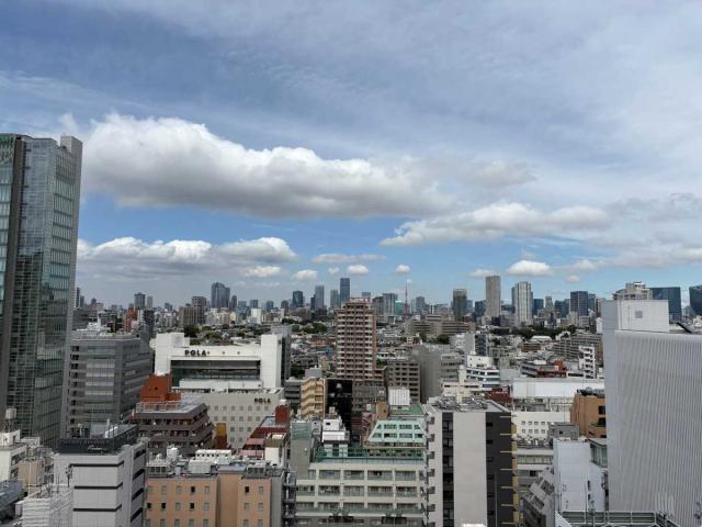 眺望：バルコニーから（ズームなし）・眺望は天候によります