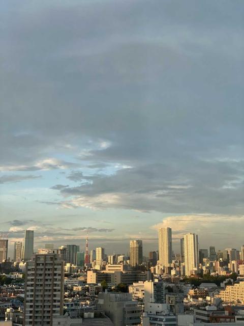 眺望：バルコニーから（ズームなし）・眺望は天候によります