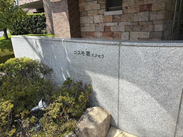 専用駐車場（撮影年月：2025年09月）