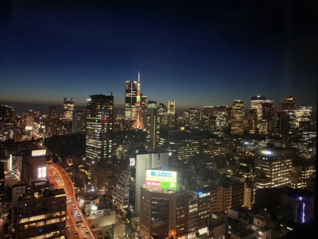 眺望：東京タワービュー・天候による、ズームなし