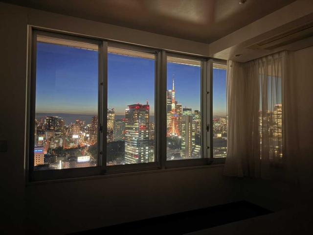 眺望：東京タワービュー・天候による、ズームなし