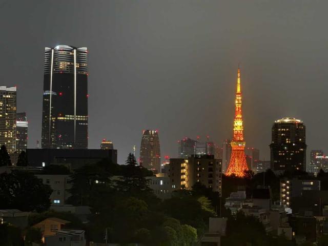 眺望：LDKから東京タワーを望む（夜景・ズームあり）