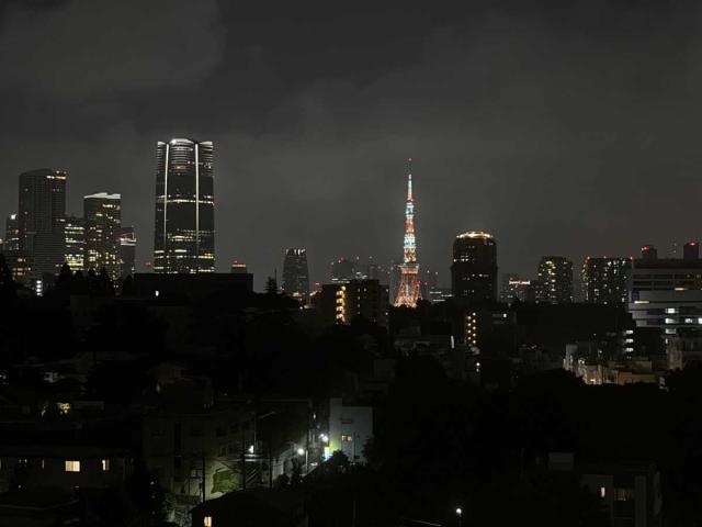 眺望：LDKから東京タワーを望む（夜景・ズームあり）