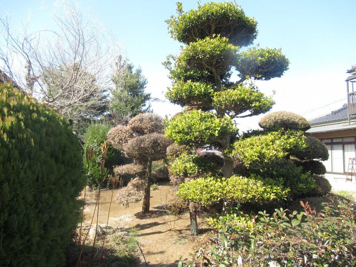 武蔵村山市中央2丁目　戸建 外観