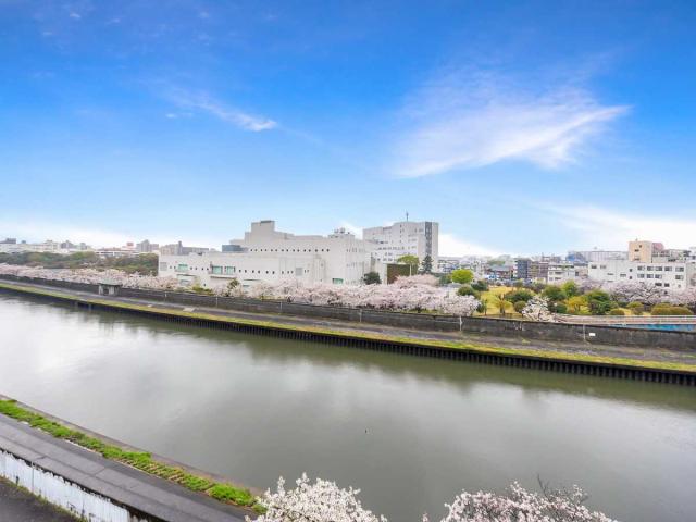 眺望：南西向きかつ前面に建物がないため、陽当たり良好です(撮影年月：2026年04月)