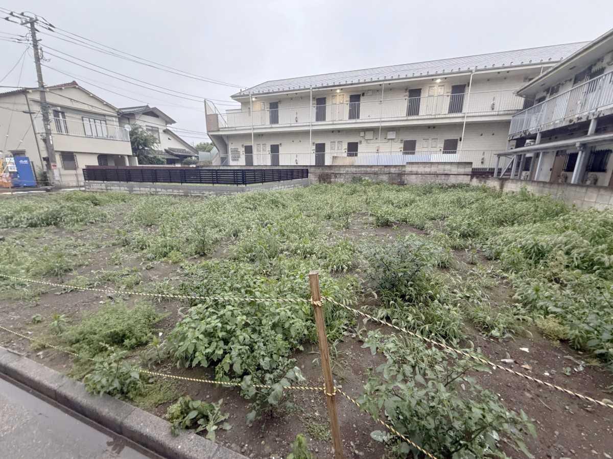 板橋区常盤台二丁目　土地(2) 土地