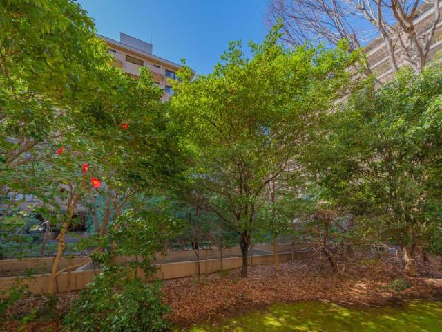 眺望：バルコニーから