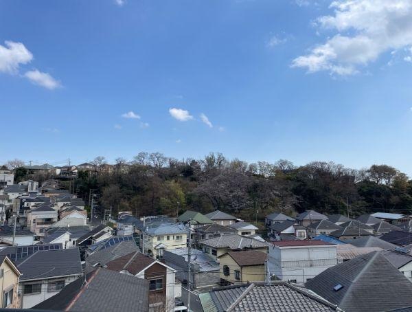 その他外観