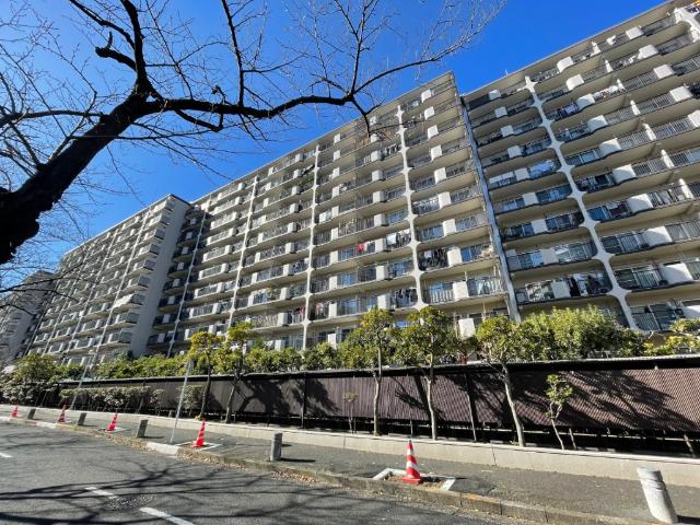 管理体制も良好です。