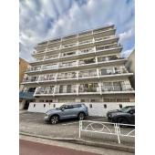 秀和シリーズの特徴ある外観！