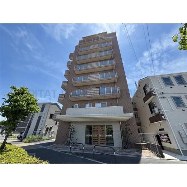 ベルドゥムール扇大橋2