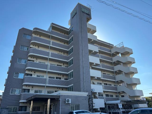 北側から撮影