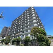 全141世帯の大型マンションです。