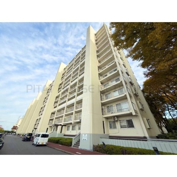 志木ニュータウン中央の森参番街八号棟