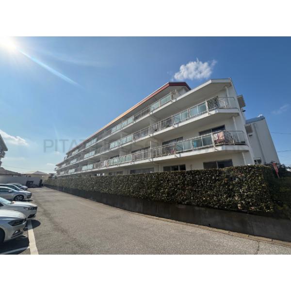 柏ハイム２号棟