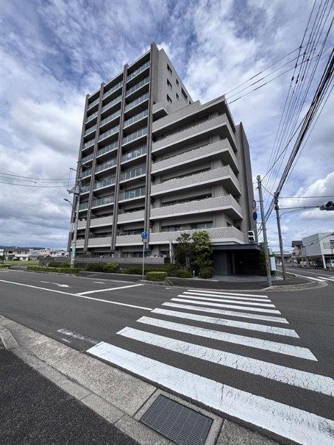 サーパス木太八坂通り1003号室（1003） 外観
