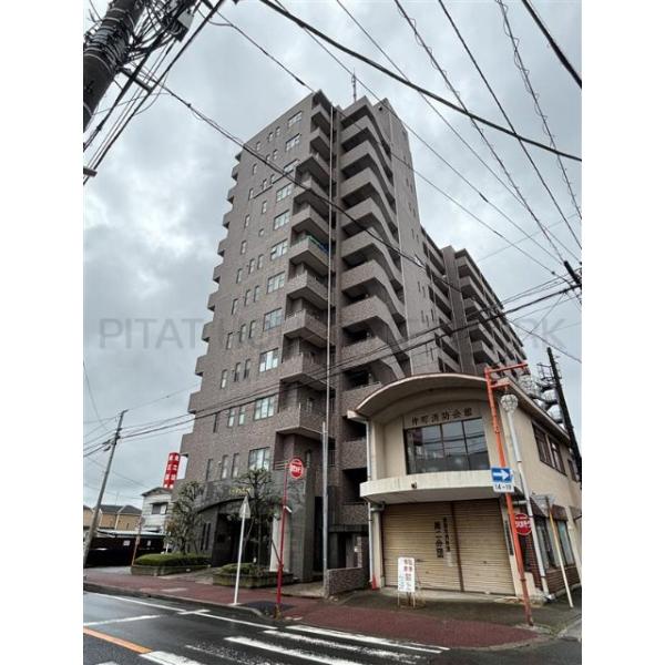 ルビアス野田