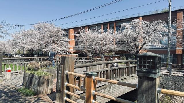 ロイヤルガーデン本八幡ブランシャトー その他