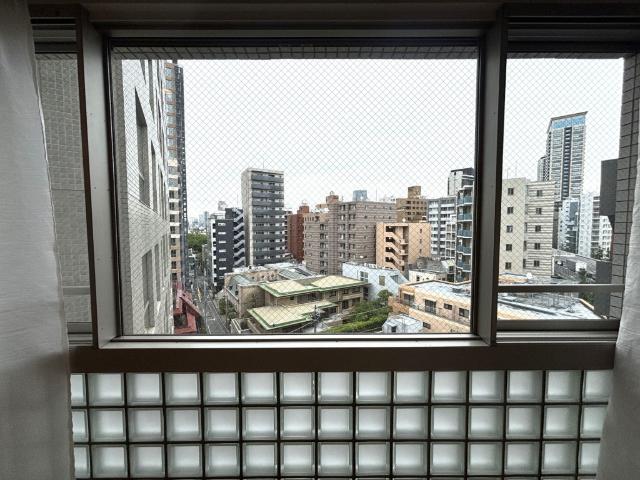 レグノ・ラフィネ南青山 眺望