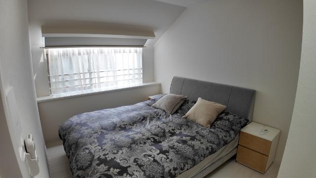 小山七丁目戸建 庭