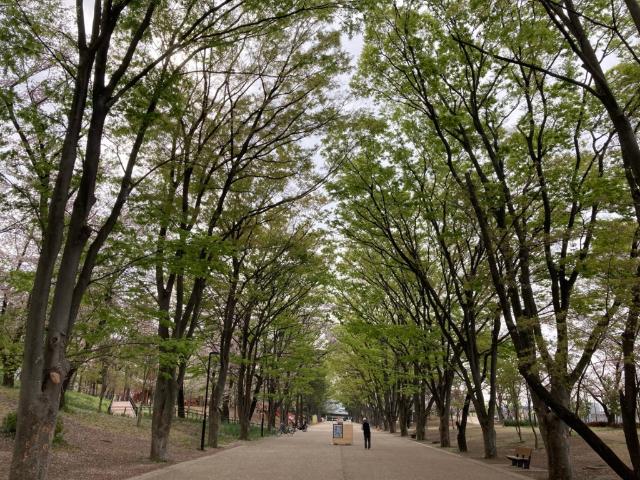 鶴間公園