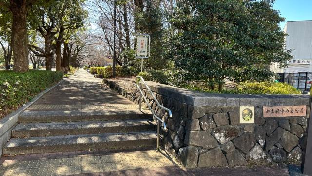 府中の森公園