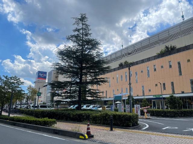 ジョーシンアリオ川口店
