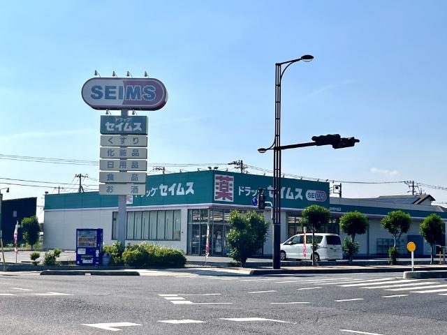 ドラッグセイムス越谷西大袋店