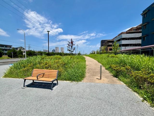 マンション裏側遊歩道