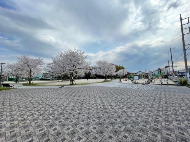 大枝公園