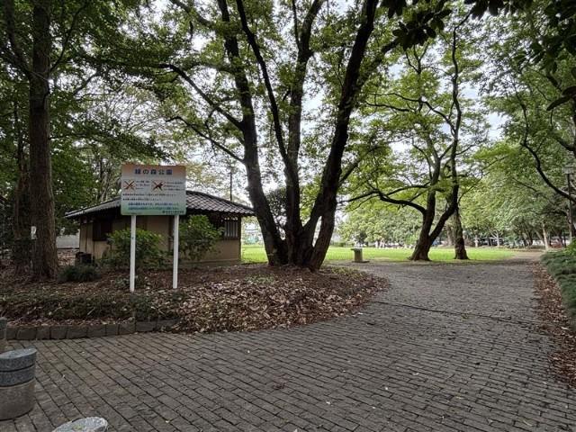 緑の森公園