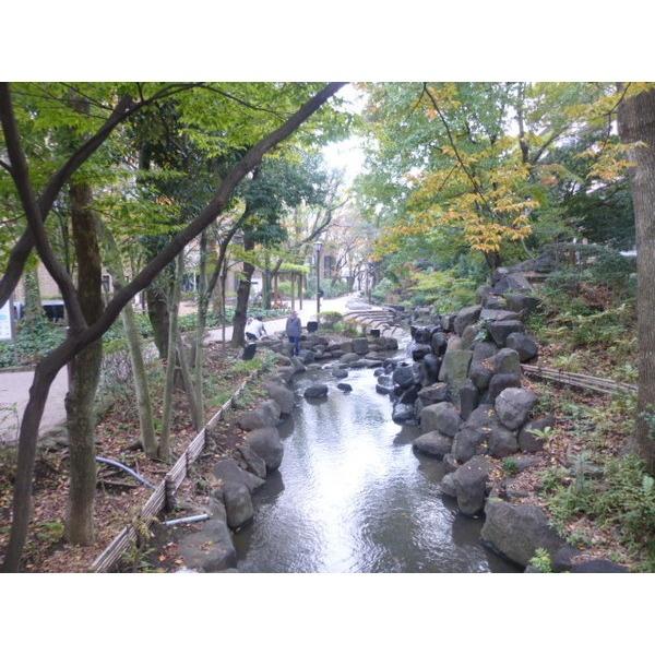 公園