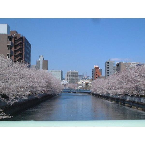 公園