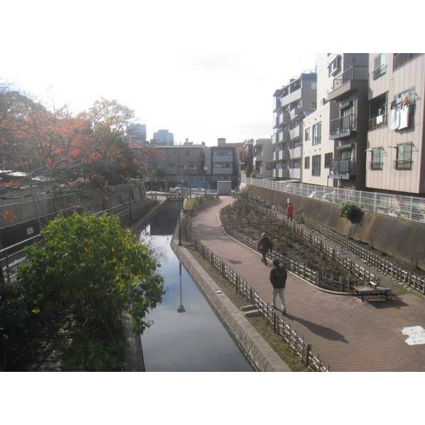 公園