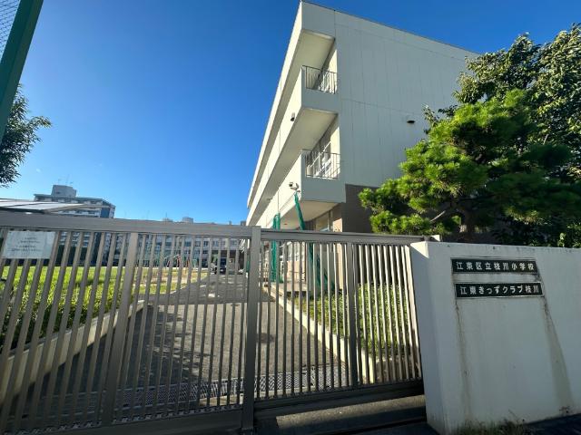 小学校