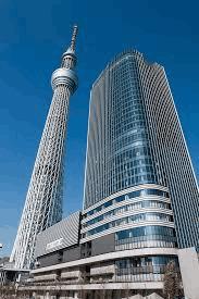 大学