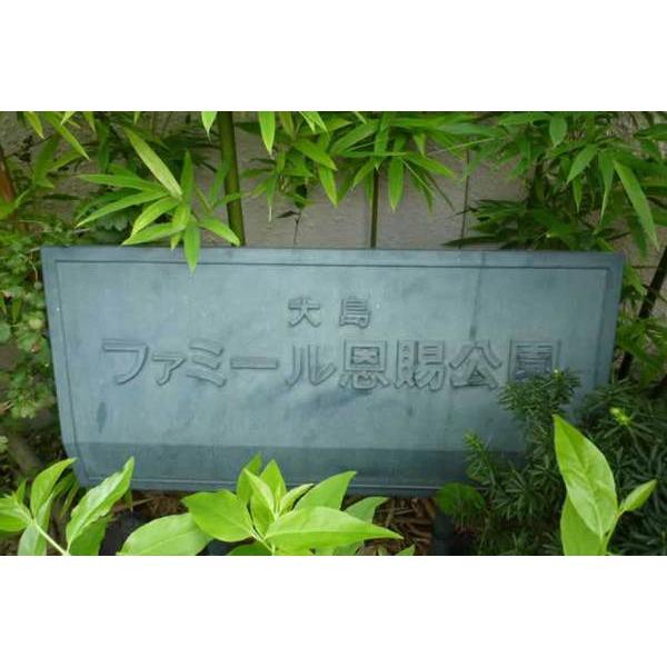 大島ファミール恩賜公園 その他