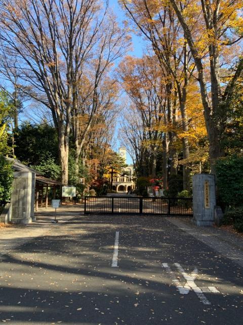大学
