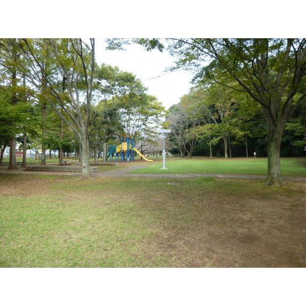 公園