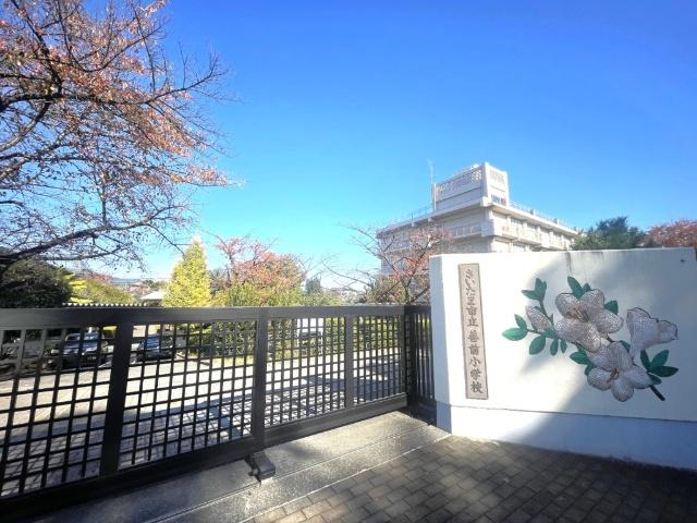 小学校