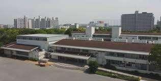 大学