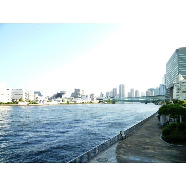 ヴェラハイツ日本橋浜町 物件画像