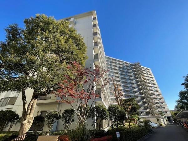 鉄骨鉄筋コンクリート造地上１４階建て・総