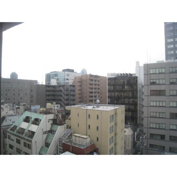 いづみハイツ茅場町 眺望