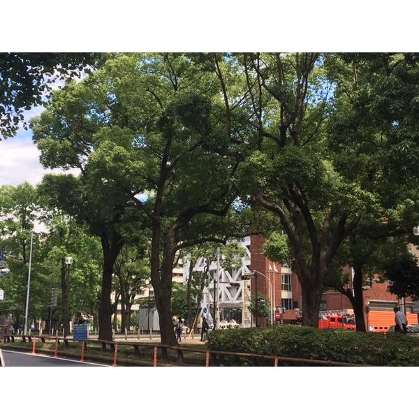 公園