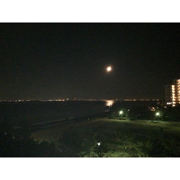 コスモ新浦安東京ベイ 眺望