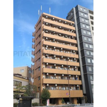 南向きで日当たり良好